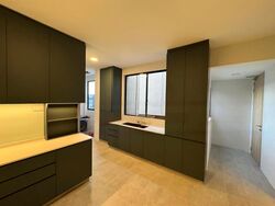 Windy Heights (D14), Condominium #458589591